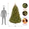 7.5 ft. Pre-lit Hinged Natural Fraser Medium Fir Artificial Christmas Tree, Clear Lights
